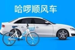 [10分钟教程]昆明咨询服务公司_哔哩哔哩-3